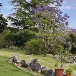 Pedra Oliveira - En Pierre - Piscine Et Massage - Coimbra 3* Ameixeira