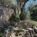Bed & Breakfast Pedra Oliveira - En Pierre - Piscine Et Massage - Coimbra 3*
