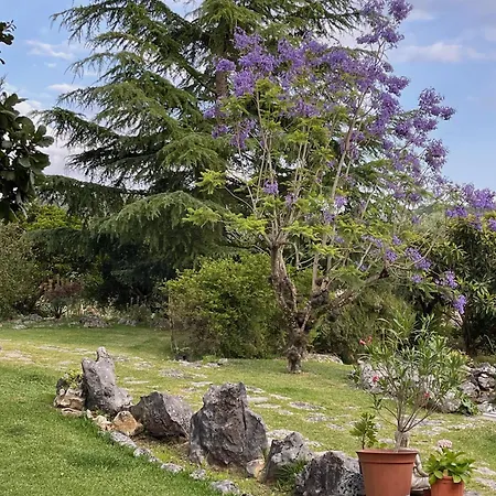 Romantique Au Calme Charme Et Intimite A Coimbra 3* Ameixeira