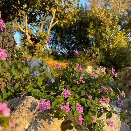 Frühstückspension Romantique Au Calme Charme Et Intimite A Coimbra Ameixeira