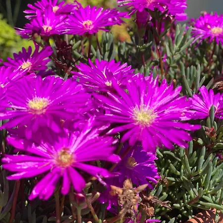 Romantique Au Calme Charme Et Intimite A Coimbra