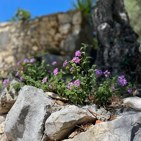 Bed & Breakfast Romantique Au Calme Charme Et Intimite A Coimbra 3*