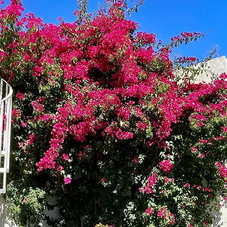 Romantique Au Calme Charme Et Intimite A Coimbra 3*