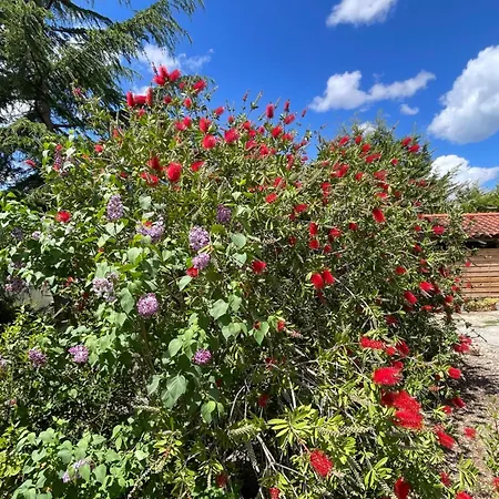 Romantique Au Calme Charme Et Intimite A Coimbra Ameixeira