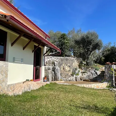 Bed & Breakfast Pedra Oliveira - En Pierre - Piscine Et Massage - Coimbra 3*