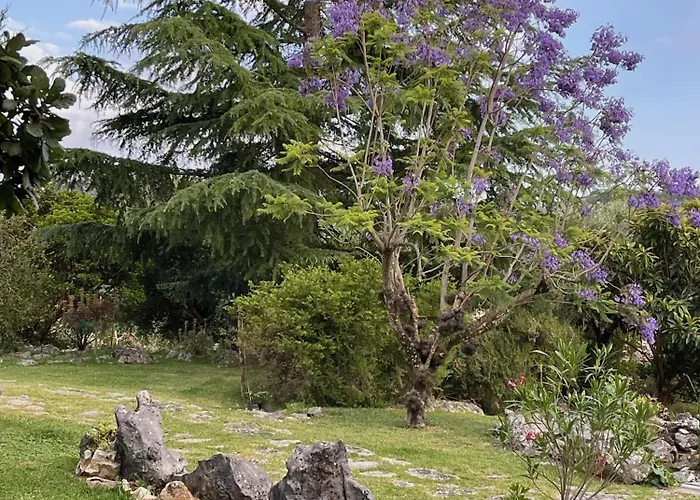 Pedra Oliveira - Suite En Pierre - Piscine Et Massage - Coimbra 3* Ameixeira