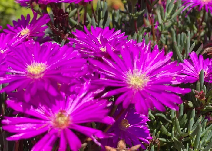 Romantique Au Calme Charme Et Intimite A Coimbra