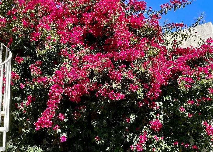 Romantique Au Calme Charme Et Intimite A Coimbra 3*