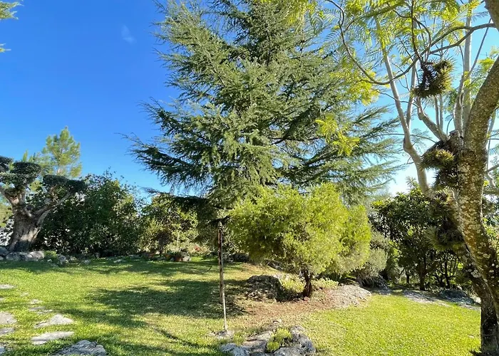 Pedra Oliveira - Suite En Pierre - Piscine Et Massage - Coimbra
