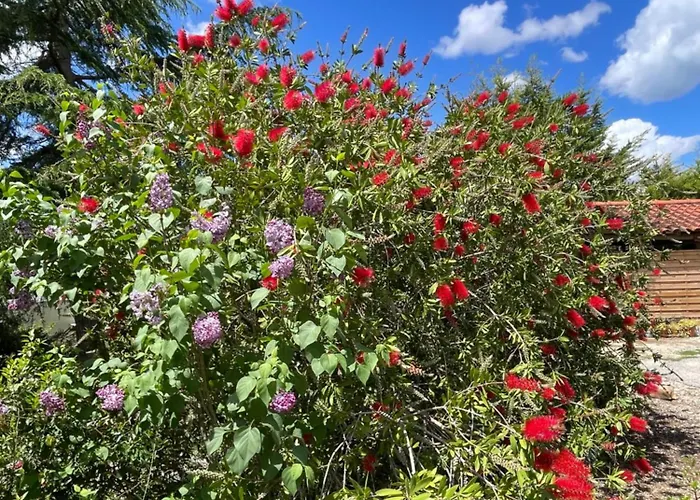 Romantique Au Calme Charme Et Intimite A Coimbra Ameixeira