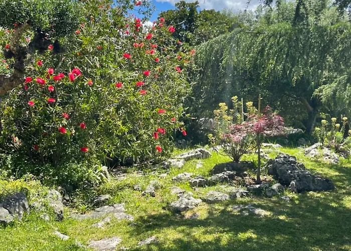Romantique Au Calme Charme Et Intimite A Coimbra